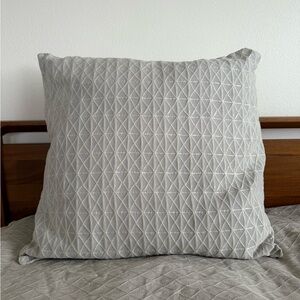 West Elm Queen Duvet Cover and 2 Euro Shams